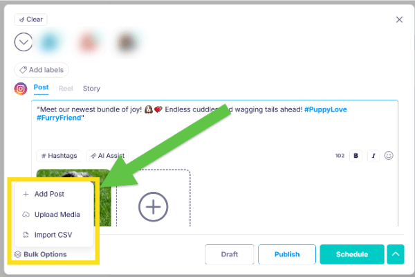 13 create bulk options