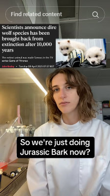 dr cal ur science pal dire wolf